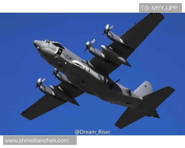 ZEKA岩雀巧妙封路打击敌方VIPER飞机果断越塔击杀妮蔻