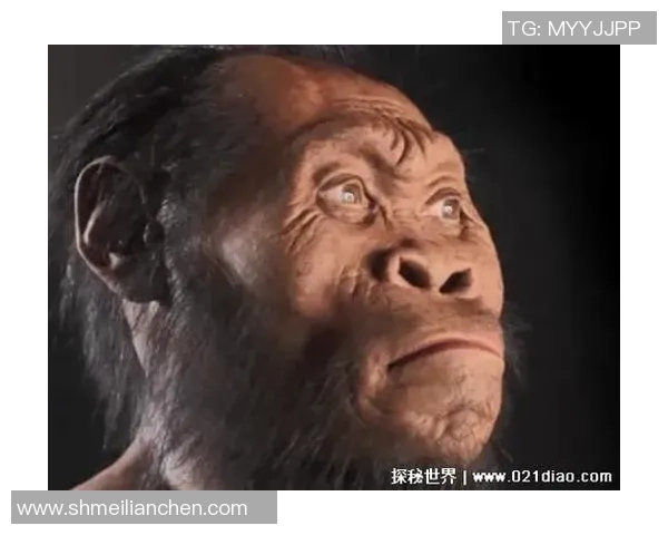 海南智虎网络科技有限公司与最后的原始人的成功之路探秘